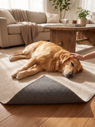 Plush Area Rug, Stays Right Where You Put It