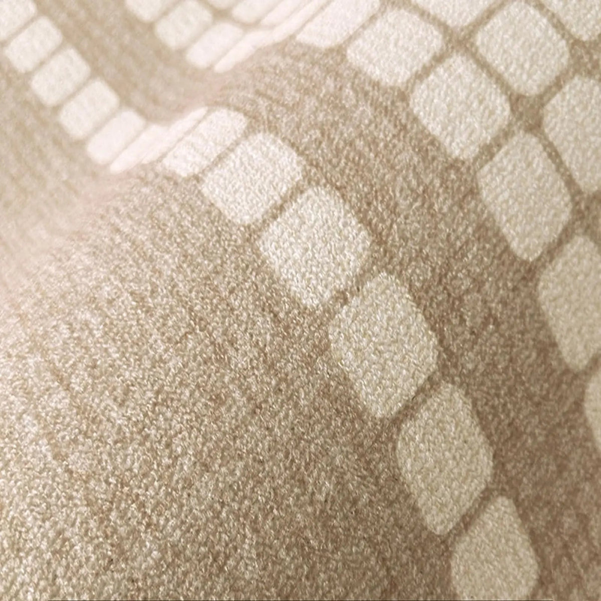 Plush Area Rug